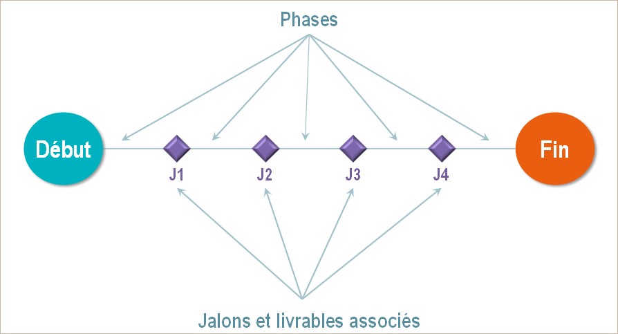 Phases et jalons